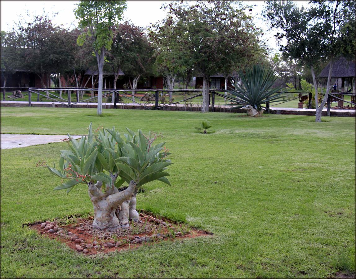 Fiume Lodge Grootfontein Экстерьер фото